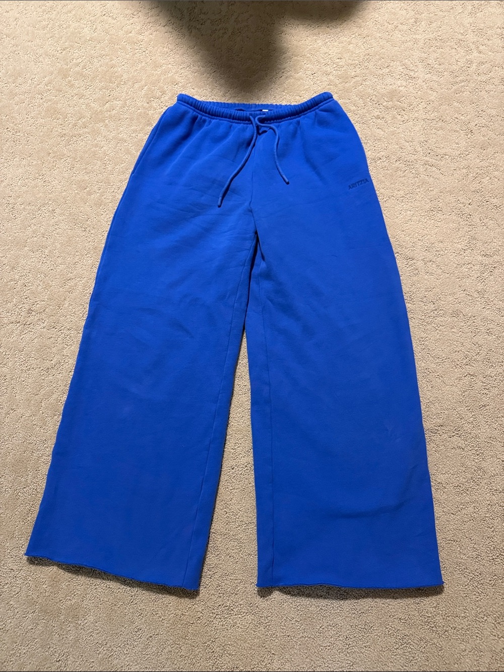 Aritzia Royal Blue Wide-Leg Track Pants in perfect condition!